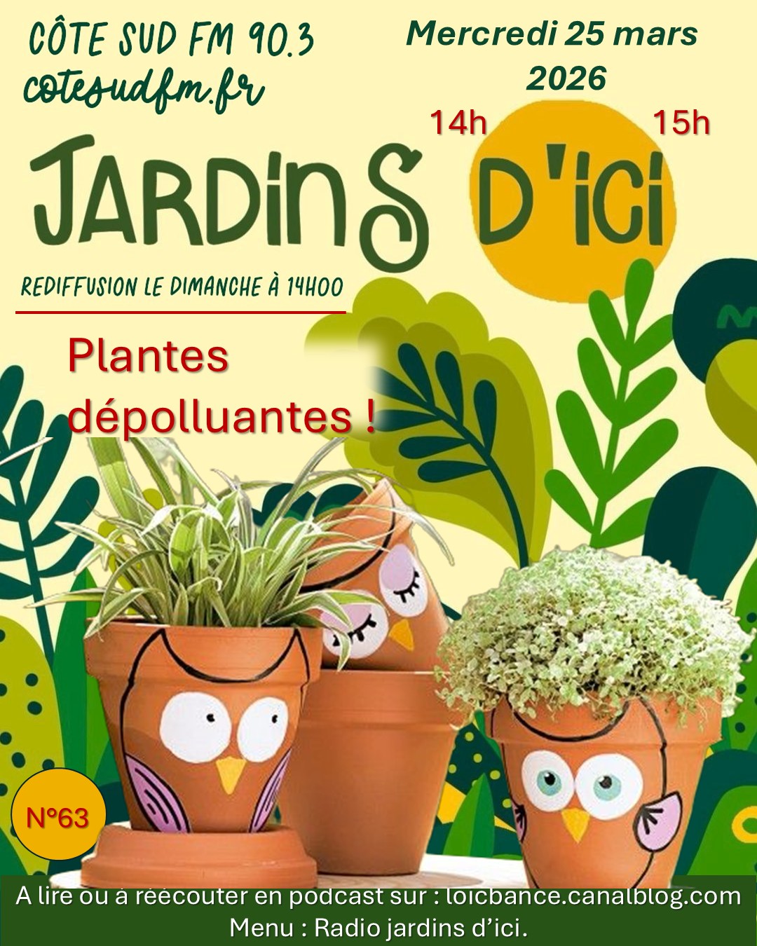 Paysagiste Ahetze Jardins d'ici : Les plantes dépolluantes avec Marion les fleurs, fleuriste à Saint Martin de Seignanx 40390.. Jardins d'ici : Les plantes dépolluantes avec Marion les fleurs, fleuriste à Saint Martin de Seignanx 40390..