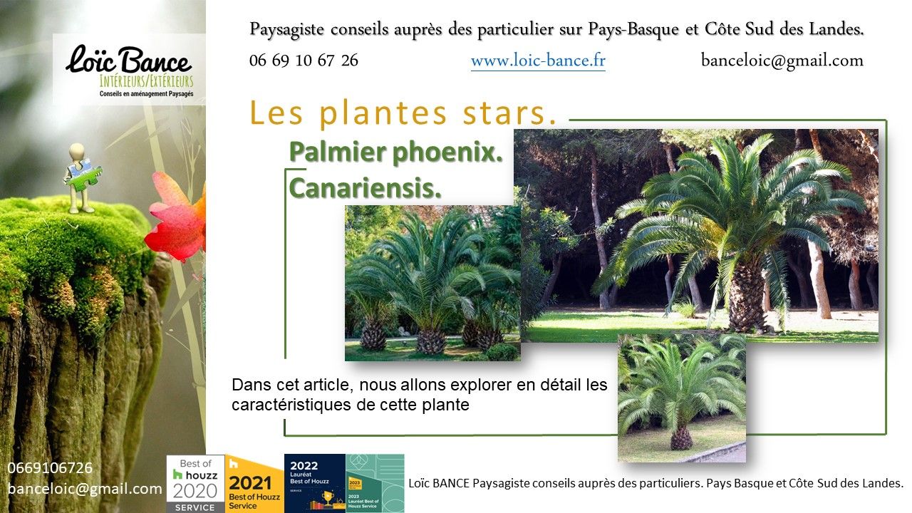 Paysagiste Itxassou; Paysages; Aménagements paysagers; Landes; Paysagiste Landes; Pays Basque; Paysagiste Pays Basque; Concepteur de jardins; Ahetze; Paysagiste Ahetze; Anglet; Paysagiste Anglet; Arbonne; Paysagiste Arbonne; Arcangues; Paysagiste Arcangues; Bayonne; Paysagiste Bayonne; Biarritz; Paysagiste Biarritz; Capbreton; Paysagiste Capbreton; Guéthary; Paysagiste Guéthary; Hossegor; Paysagiste Hossegor; Saint Jean de Luz; Paysagiste Saint Jean de Luz; Seignosse; Paysagiste Seignosse; 