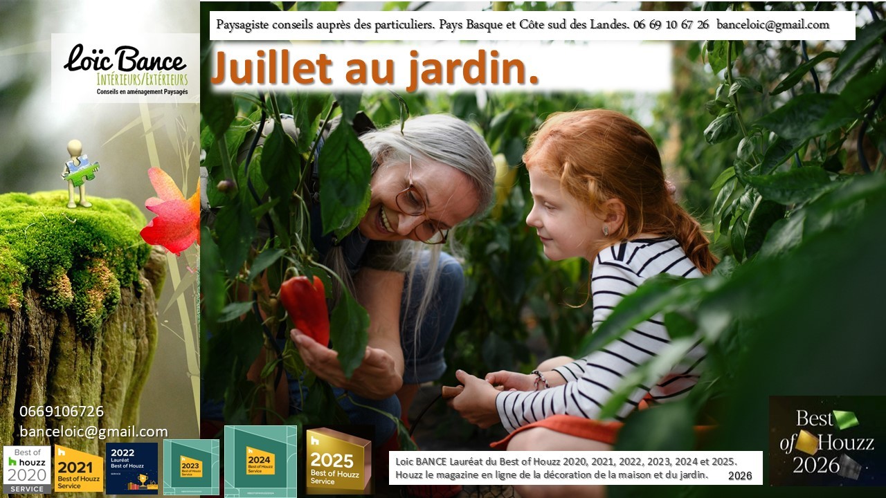 Paysagiste Ahetze Juillet au jardin
