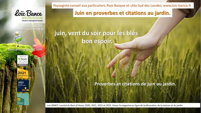 Proverbes; Citations; Jardins; Paysagiste; Landes; Pays Basque; Paysagiste Pays Basque; Paysagiste Landes; Loïc BANCE; Aménagements paysagers; Concepteur de jardins; Paysagiste Ahetze; 