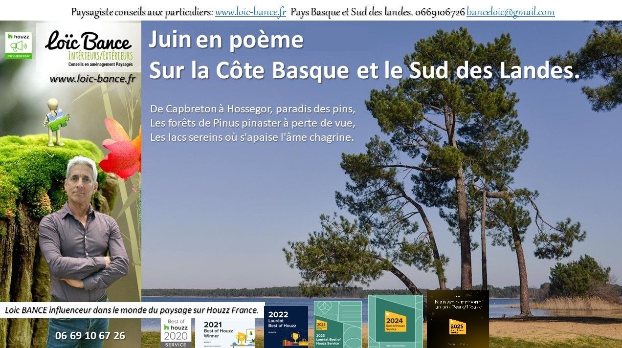 paysages; Landes; Pays Basque; Paysagiste; Paysagiste Landes; Paysagiste Pays Basque; Loïc BANCE; Concepteur de jardins; Aménagements paysagers; Paysagiste conseils aux particuliers; Juin; Ahetze; 