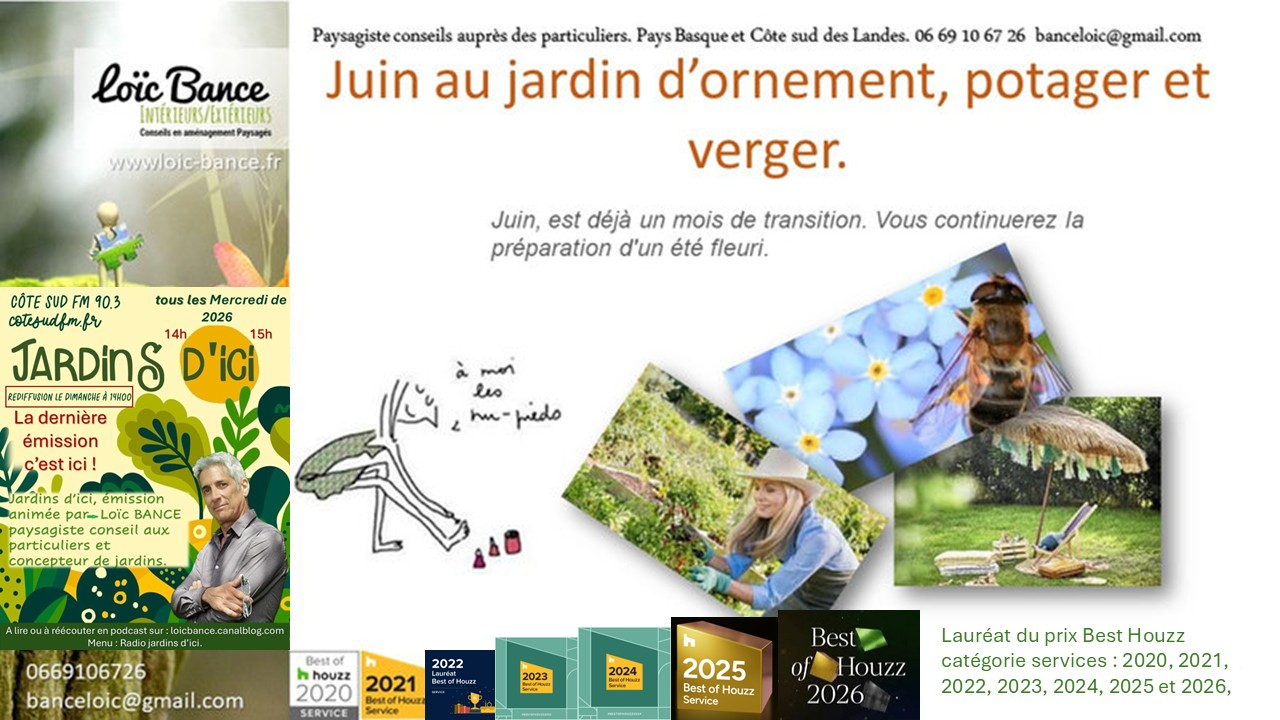 Les travaux de juin 2026 au jardin d'ornement, potager ou fruitier. Ahetze paysages.