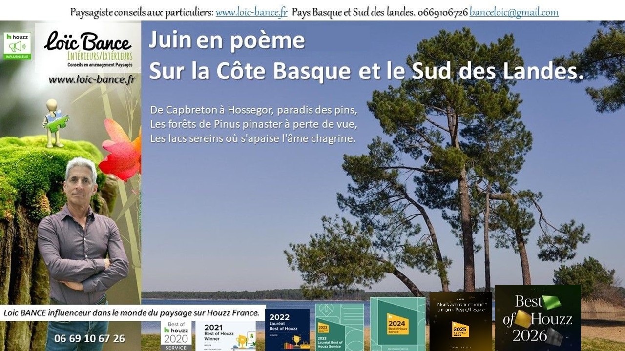 Juin en poème sur la Côte Basco-Landaise. Ahetze paysages 